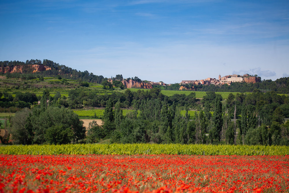 champ de coquelicots, mariage en Provence
