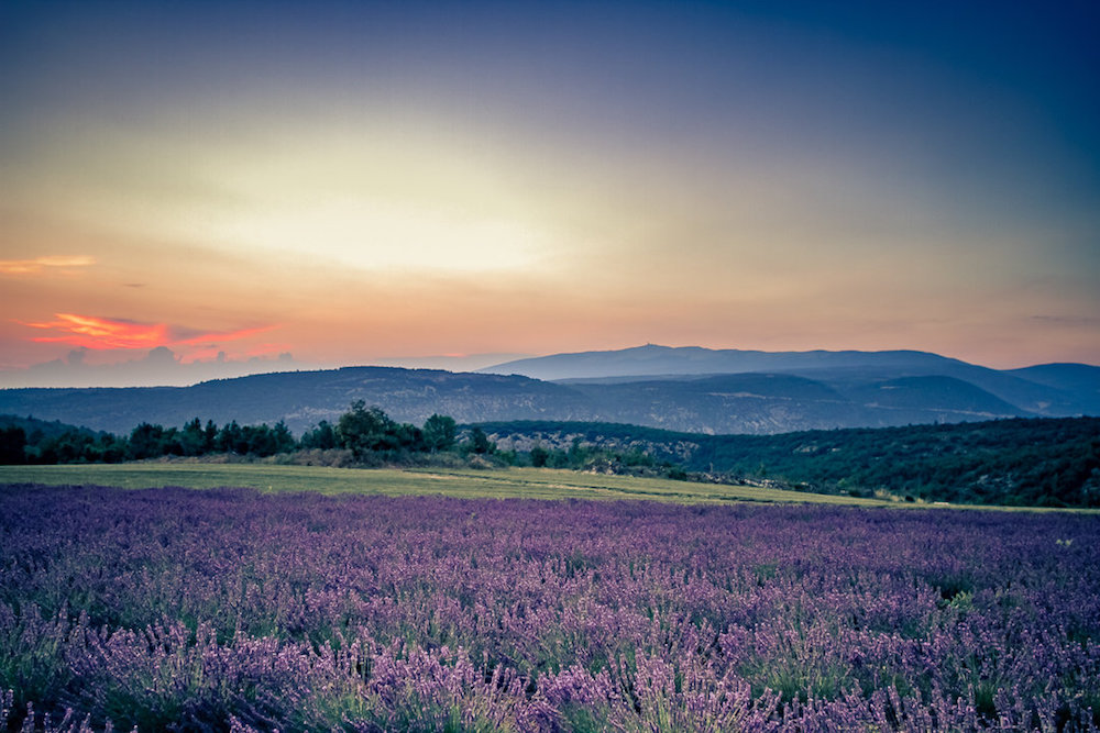 le coeur dans les etoiles - wedding planner - provence - luberon - alpilles - organisation - mariage - paysage - mariage provence - sandra lambert