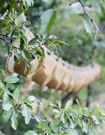 Un bar à chapeaux pour un mariage sous le soleil